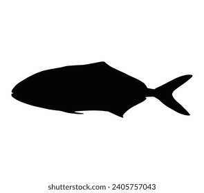 Amberjack fish silhouette vector icon on a white background.