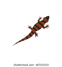 Ambistoma tiger, salamander icon in flat style on a white background