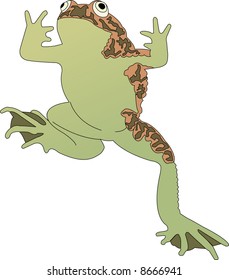 An ambitious frog jumping into the air