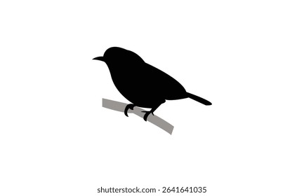 Ambon white-eye bird Silhouette Design  And Vector Illustration. 