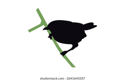 Ambon white-eye bird Silhouette Design  And Vector Illustration. 