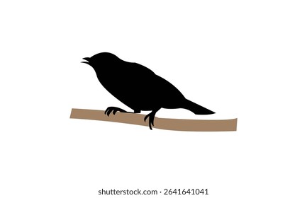Ambon white-eye bird Silhouette Design  And Vector Illustration. 