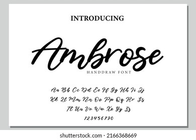 Ambrose. Handdrawn calligraphic vector font for hand drawn messages. Modern gentle calligraphy.