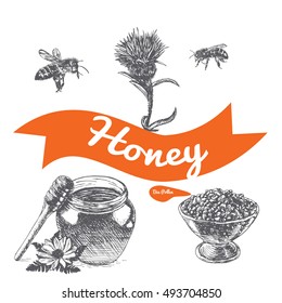 Ambrosia, bee and honey illustration. Vector illustration of honey