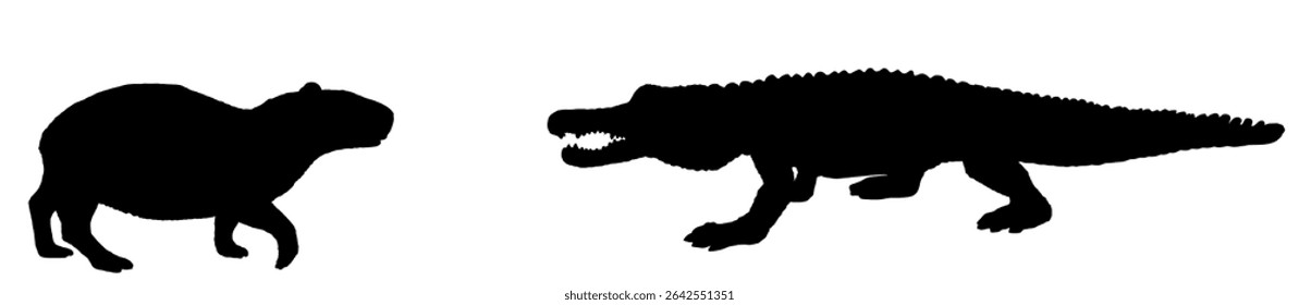 Ambush crocodile attack capybara vector silhouette isolated. Survivor watering place battle powerful reptile against biggest rodent animal. Predator carnivore alligator lurking prey. Caiman hunting.
