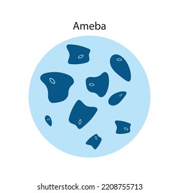 Ameba Icon. Vector Illustration, Biology