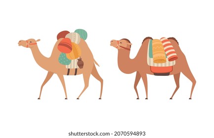 amel Domesticated Desert Caravan Animal with Saddle Vector Set
