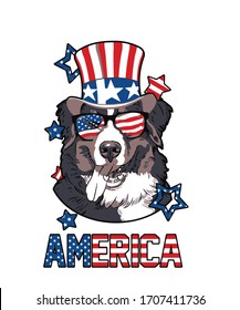 America Bernese Mountain dog lover