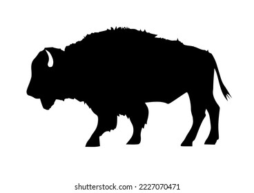 America bison in black color