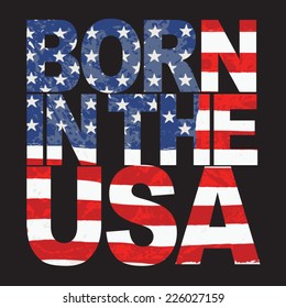 America design , typography, t-shirt graphics, vectors 