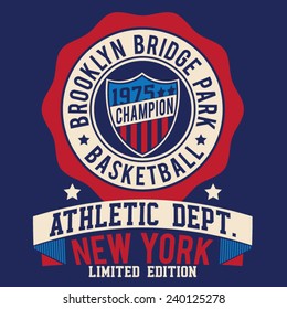 America sport athletic typography, t-shirt graphics, vectors 