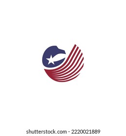 america star hawk eagle logo icon vector template