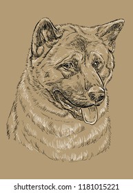 American akita vector hand drawing black and white illustration isolated on beige background