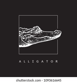 American alligator (Alligator mississippiensis) - vector image.
White illustration in engraving style of crocodilian reptile isolated on black background, design element for logo or template.