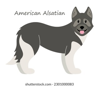 American Alsatian cute animal in colorful cartoon style isolated on white background. Vector graphics. It known as the North American Shepalute  that look like the extinct dire wolf.