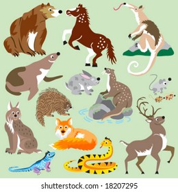 American Animal Species