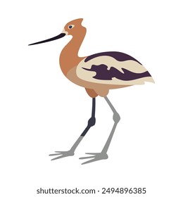 american avocet bird isolated icon