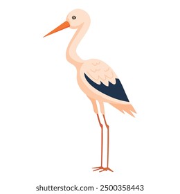 american avocet bird isolated icon