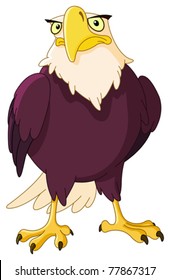 American bald eagle