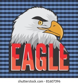 american bald eagle