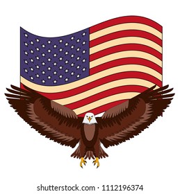 american bald eagle emblem with USA flag