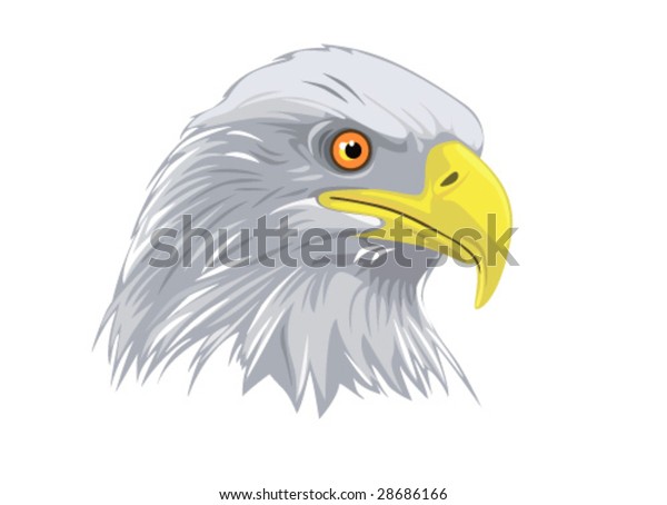 American Bald Eagle Face Vector Stock Vector (Royalty Free) 28686166