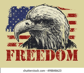 American Bald Eagle and Flag A sketchy bald eagle over an abstract, stylized American flag.