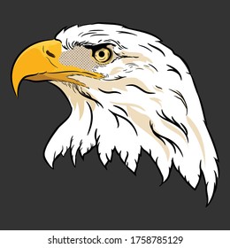 Águila calva americana con bandera, vector de cabeza de águila dibujada a mano.