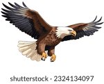 American Bald Eagle flying on a white background. Vector illustration of an eagle