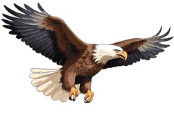 American Bald Eagle Flying On A White Background. Vector Illustration Of An Eagle