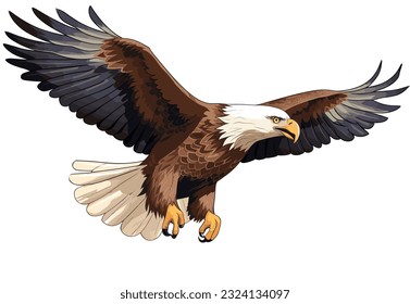 Águila calva americana volando sobre un fondo blanco. Ilustración vectorial de un águila