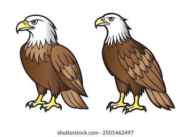 American Bald Eagle flying on a white background. Vector illustration of an eagle