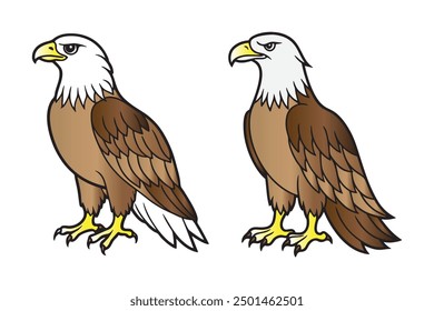 American Bald Eagle flying on a white background. Vector illustration of an eagle