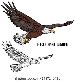 American bald eagle. Eagle hand drawn. Eagle sketch illustration. Flying eagle