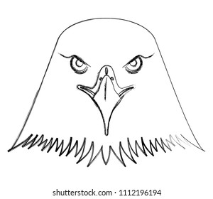 american bald eagle head