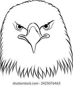 american bald eagle head outline illustration