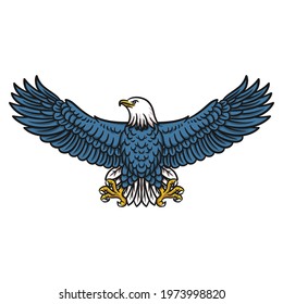 American Bald eagle, Illustration of flying eagle