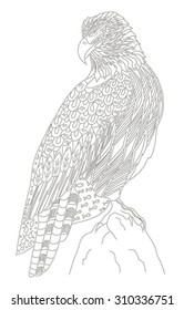 American bald eagle sitting on a rock, zentangle stylized, vector, illustration, freehand pencil