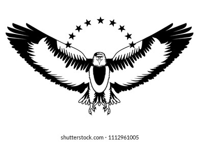 american bald eagle with stars