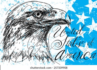 American Bald Eagle with stars. A sketchy bald eagle over an abstract background with stars.