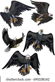 American Bald Eagle. Vector