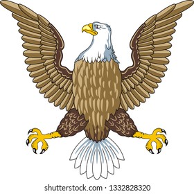 American bald eagle .Vrctor