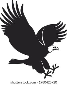 American Bald eagle winged flying swoop attack. 