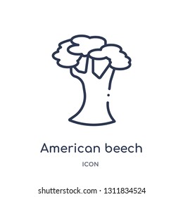 american beech tree icon from nature outline collection. Thin line american beech tree icon isolated on white background.