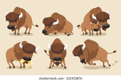 American Bison Buffalo Set, with Bison in six different views, front view, side view, with calf. Vector illustration cartoon.