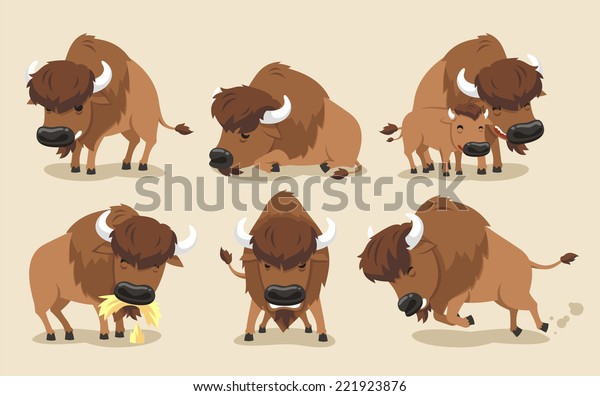 美国野牛水牛套装 与野牛在六个不同的视图 前视图 侧视图 小牛 矢量插图卡通 库存矢量图 免版税