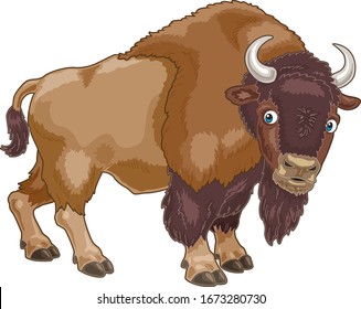 American Bison Cartoon illustration with standing position