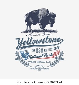 American bison, national Park Yellowstone, blue, illustration, vector