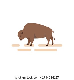 American bison. Vector illustration in flat style