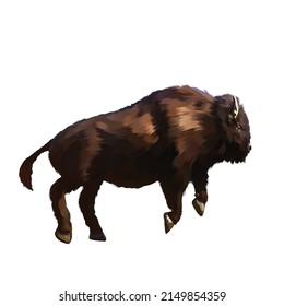 american bison Vector white background